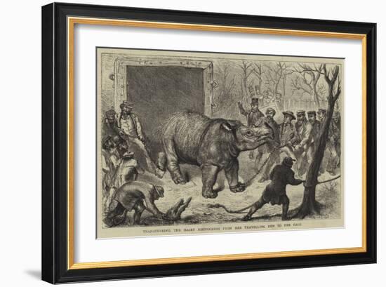 Transferring the Hairy Rhinoceros from Her Travelling Den to Her Cage-Ernest Henry Griset-Framed Giclee Print