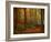 Transformation Fall-Philippe Sainte-Laudy-Framed Photographic Print