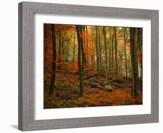 Transformation Fall-Philippe Sainte-Laudy-Framed Photographic Print