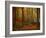 Transformation Fall-Philippe Sainte-Laudy-Framed Photographic Print