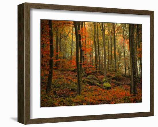 Transformation Fall-Philippe Sainte-Laudy-Framed Photographic Print