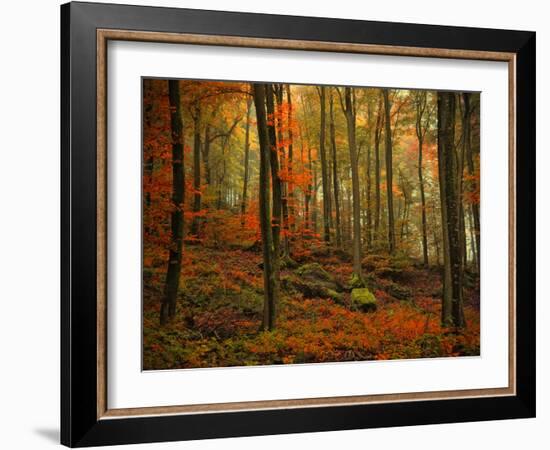 Transformation Fall-Philippe Sainte-Laudy-Framed Photographic Print