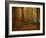 Transformation Fall-Philippe Sainte-Laudy-Framed Photographic Print