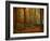 Transformation Fall-Philippe Sainte-Laudy-Framed Photographic Print