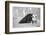 Transformationen 1, 2015-Jaschi Klein-Framed Photographic Print