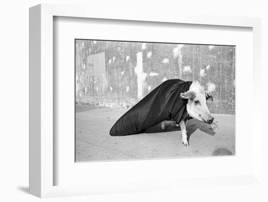 Transformationen 1, 2015-Jaschi Klein-Framed Photographic Print