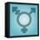 Transgender Symbol, Artwork-Stephen Wood-Framed Premier Image Canvas