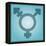 Transgender Symbol, Artwork-Stephen Wood-Framed Premier Image Canvas