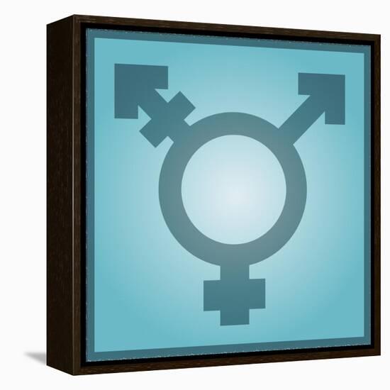 Transgender Symbol, Artwork-Stephen Wood-Framed Premier Image Canvas