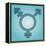 Transgender Symbol, Artwork-Stephen Wood-Framed Premier Image Canvas