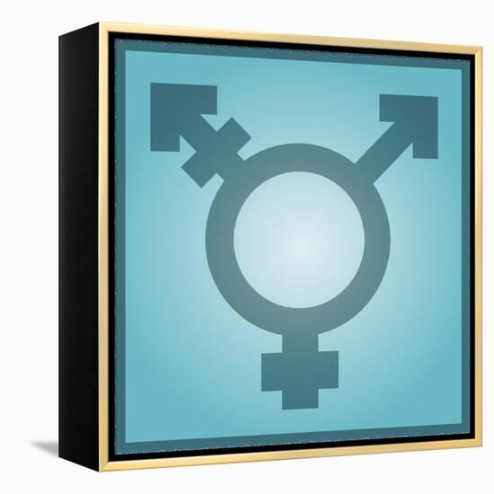 Transgender Symbol, Artwork-Stephen Wood-Framed Premier Image Canvas