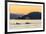 Transient Killer Whales (Orcinus Orca) Surfacing at Sunset-Michael Nolan-Framed Photographic Print