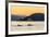 Transient Killer Whales (Orcinus Orca) Surfacing at Sunset-Michael Nolan-Framed Photographic Print