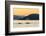 Transient Killer Whales (Orcinus Orca) Surfacing at Sunset-Michael Nolan-Framed Photographic Print