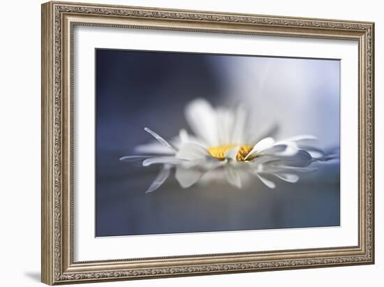 Transient Reflections-Valda Bailey-Framed Photographic Print