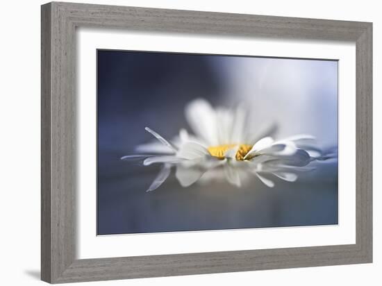 Transient Reflections-Valda Bailey-Framed Photographic Print