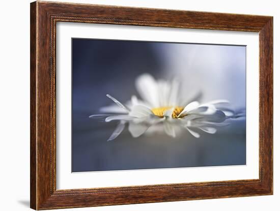 Transient Reflections-Valda Bailey-Framed Photographic Print