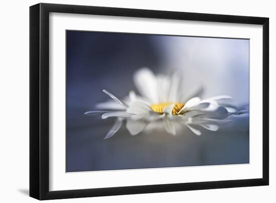 Transient Reflections-Valda Bailey-Framed Photographic Print