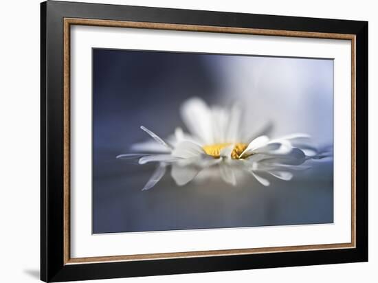 Transient Reflections-Valda Bailey-Framed Photographic Print