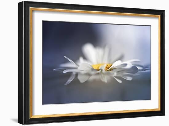 Transient Reflections-Valda Bailey-Framed Photographic Print