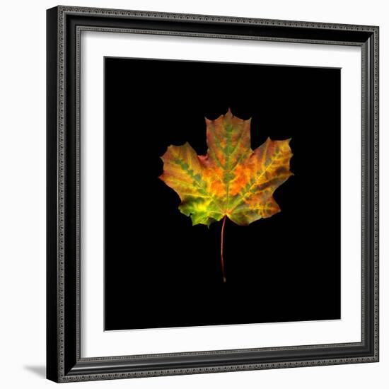 Transition-Doug Chinnery-Framed Photographic Print