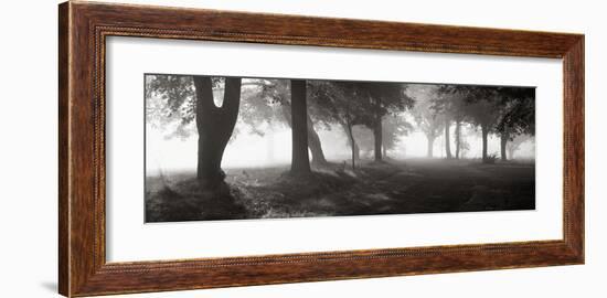 Translucence-Mike Sleeper-Framed Giclee Print