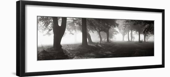 Translucence-Mike Sleeper-Framed Giclee Print