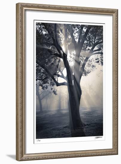 Translucence-Donald Satterlee-Framed Giclee Print