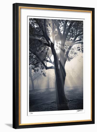 Translucence-Donald Satterlee-Framed Giclee Print