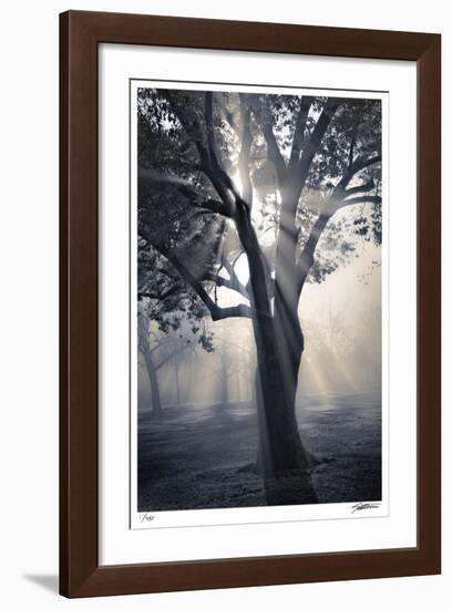 Translucence-Donald Satterlee-Framed Giclee Print