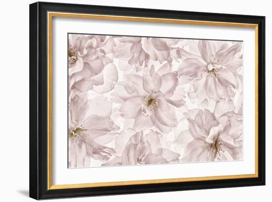 Translucent Cherry Blossom-Cora Niele-Framed Photographic Print