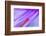 Translucent coral goby in Seapen, Indonesia-Georgette Douwma-Framed Photographic Print