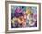 Translucent Multicolor Blossoms-Alaya Gadeh-Framed Photographic Print