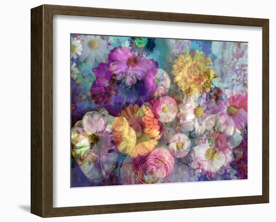 Translucent Multicolor Blossoms-Alaya Gadeh-Framed Photographic Print