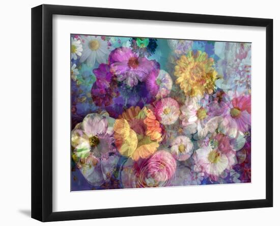 Translucent Multicolor Blossoms-Alaya Gadeh-Framed Photographic Print