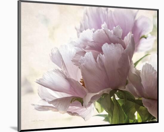 Translucent Peony I-Debra Van Swearingen-Mounted Photo