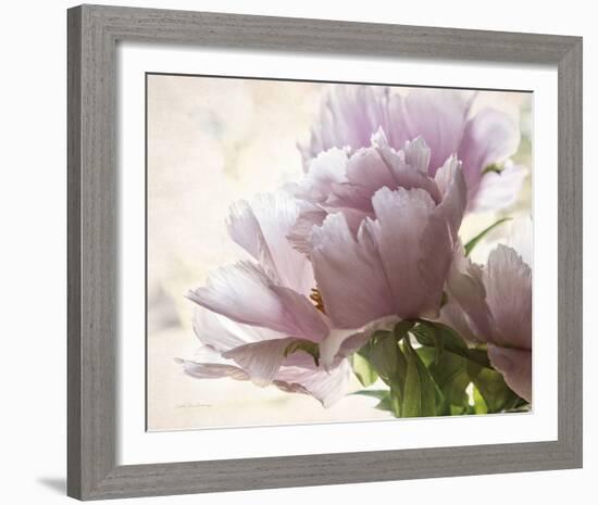 Translucent Peony I-Debra Van Swearingen-Framed Photo