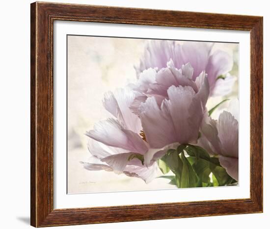 Translucent Peony I-Debra Van Swearingen-Framed Photo