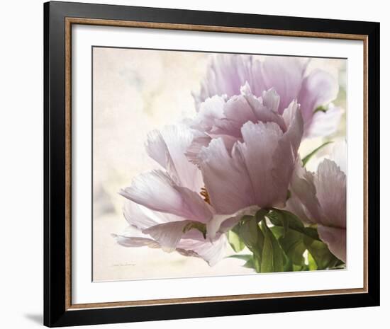 Translucent Peony I-Debra Van Swearingen-Framed Photo