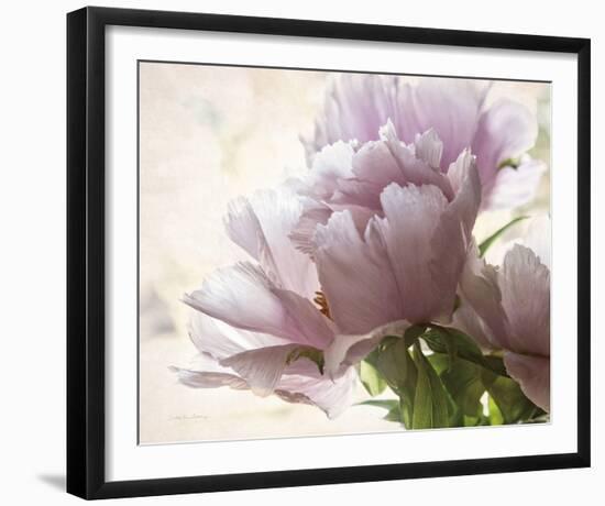 Translucent Peony I-Debra Van Swearingen-Framed Photo