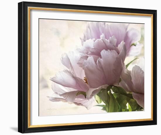 Translucent Peony I-Debra Van Swearingen-Framed Photo