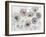 Translucent Petals-Studio Rofino-Framed Art Print