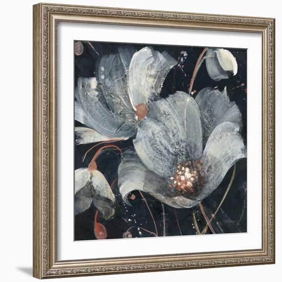 Translucent Poppies-Albena Hristova-Framed Art Print