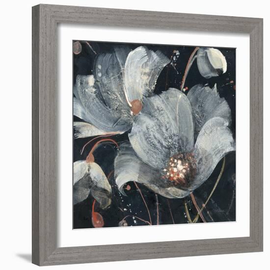 Translucent Poppies-Albena Hristova-Framed Art Print