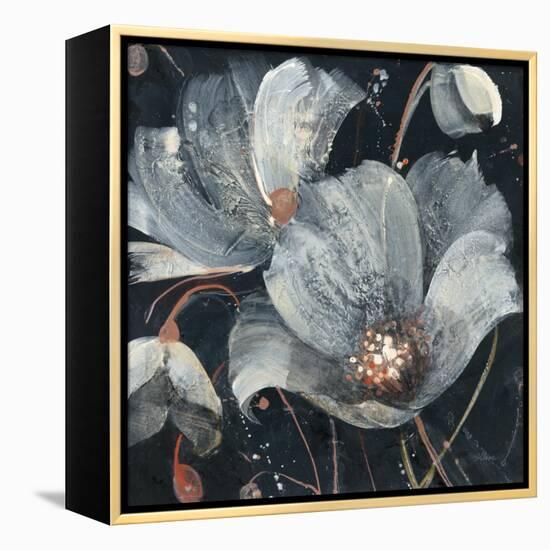 Translucent Poppies-Albena Hristova-Framed Stretched Canvas