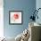 Translucent Poppy I-Lanie Loreth-Framed Art Print displayed on a wall