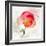 Translucent Poppy I-Lanie Loreth-Framed Art Print