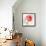 Translucent Poppy I-Lanie Loreth-Framed Stretched Canvas displayed on a wall
