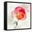 Translucent Poppy I-Lanie Loreth-Framed Stretched Canvas