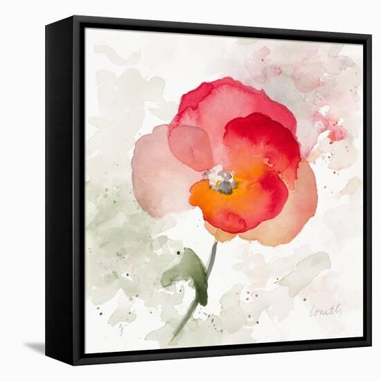 Translucent Poppy I-Lanie Loreth-Framed Stretched Canvas